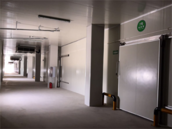 食品公司內(nèi)建造一個1000平包子、水餃速凍冷庫費(fèi)用是多少?