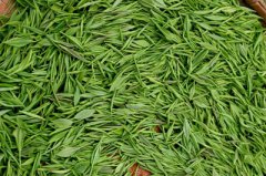 建一個(gè)低溫茶葉冷庫，冷凍庫耗電量及冷庫價(jià)格多少錢