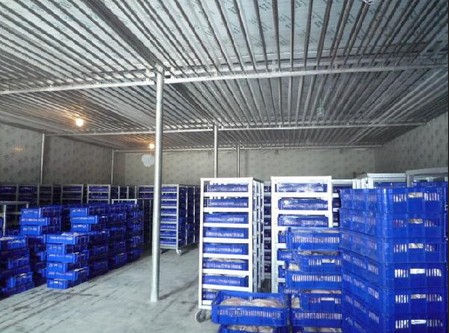 -18~-23℃冷凍庫(kù)哪種制冷方式好？（冷風(fēng)機(jī)，鋁排）