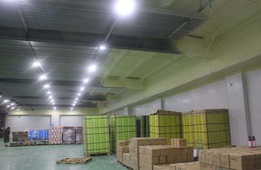 2000噸蘋果保鮮庫造價多少，0-5℃保鮮庫建造一平價格