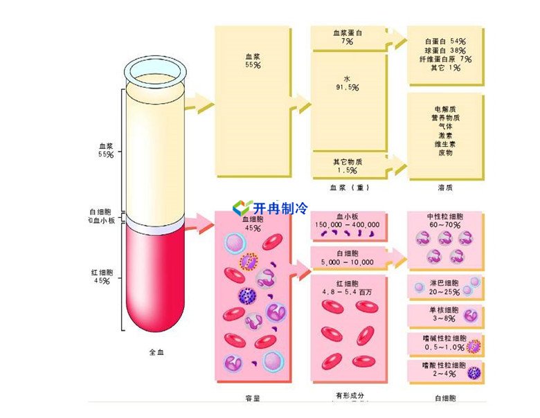 -30℃～-80℃血漿蛋白低溫冷凍庫規(guī)范，冷庫安裝價格
