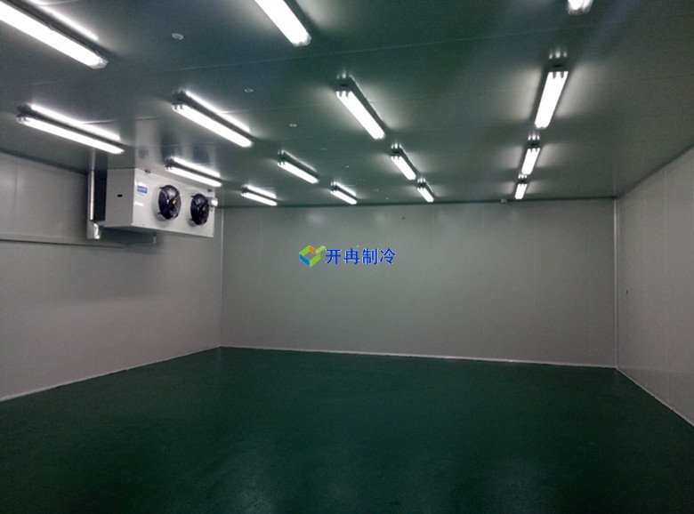100m3血液冷庫溫度一般多少度，醫療冷庫報價  冷庫內景圖片 